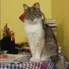 Отзыв от Надежда Соловьева